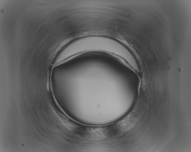X0000067930062200605041745