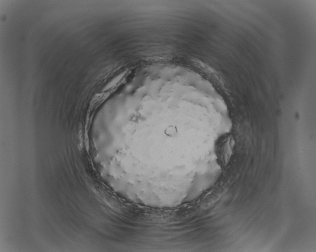 X0000067930069200605041745