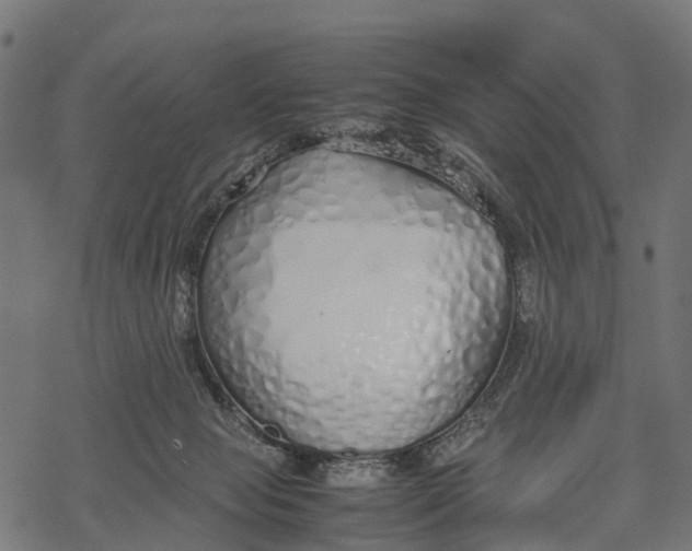 X0000067930077200605041745