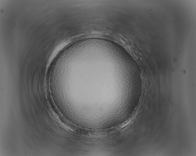 X0000067930102200605041745