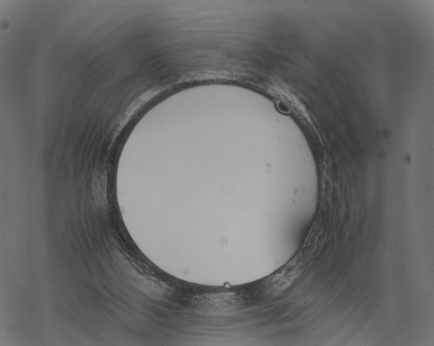 X0000067930108200605041745