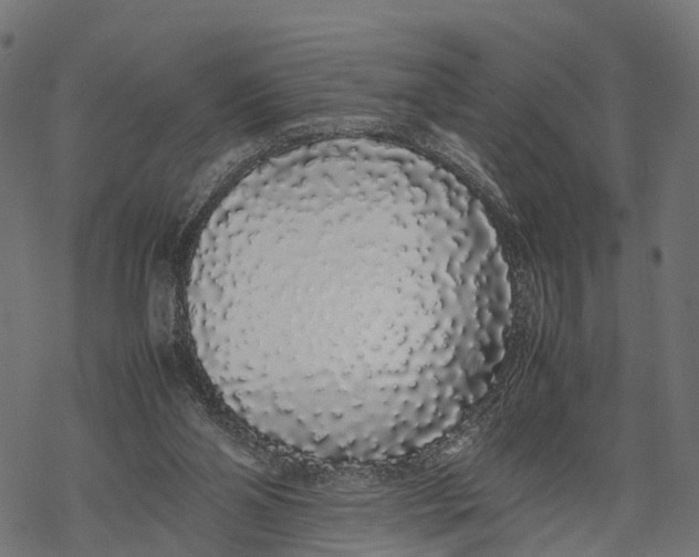 X0000067930110200605041745