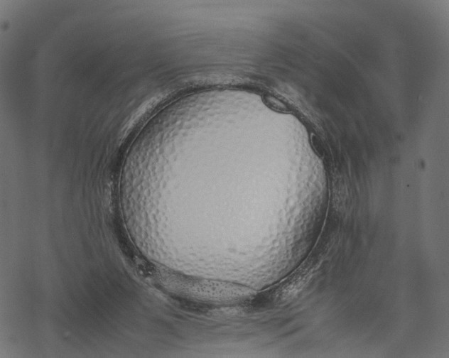 X0000067930111200605041745