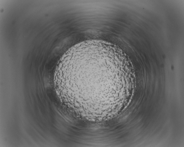 X0000067930134200605041744