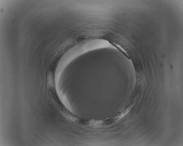 X0000067930143200605041744