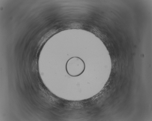 X0000067930146200605041743