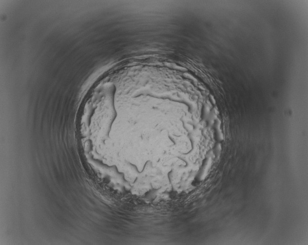 X0000067930147200605041743
