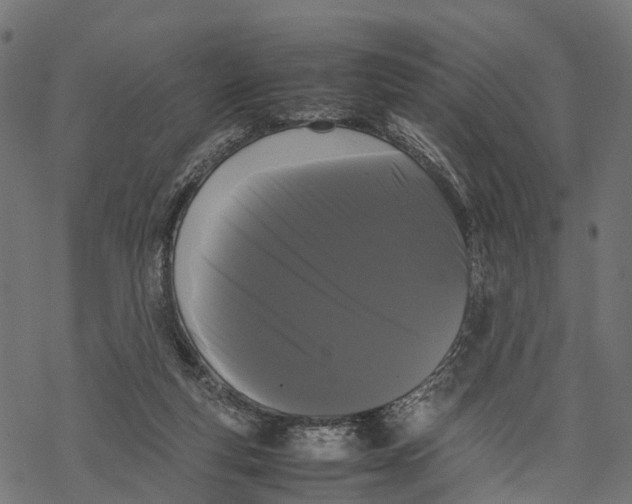 X0000067930163200605041744