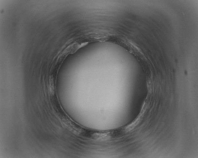 X0000067930170200605041744