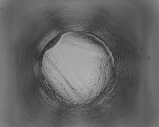 X0000067930194200605041743
