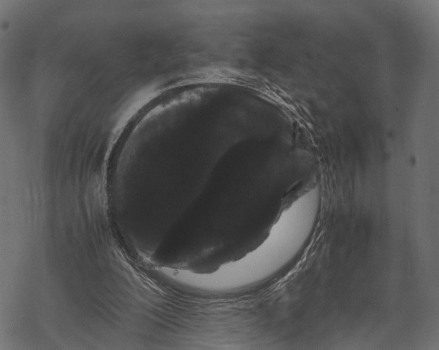 X0000067930200200605041743