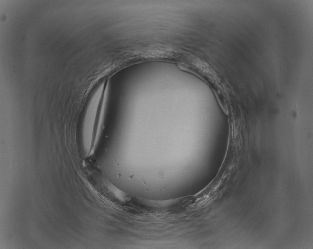 X0000067930201200605041743
