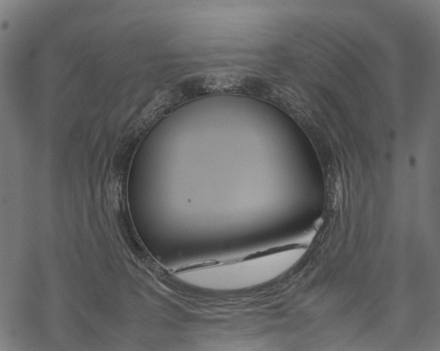 X0000067930227200605041743