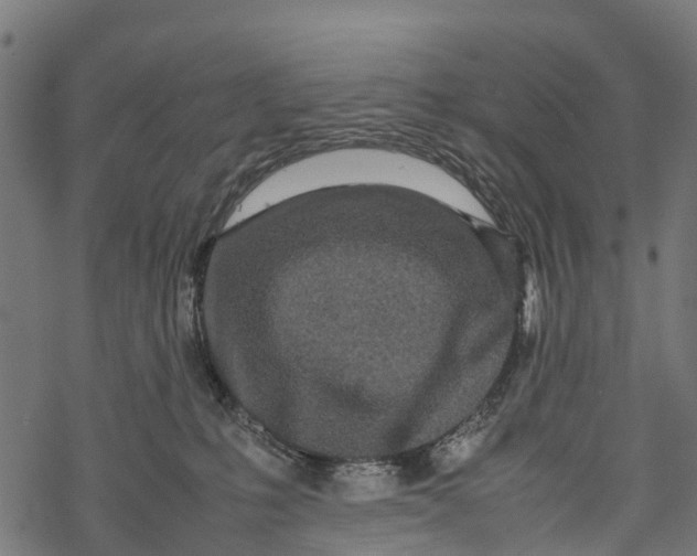 X0000067930231200605041743