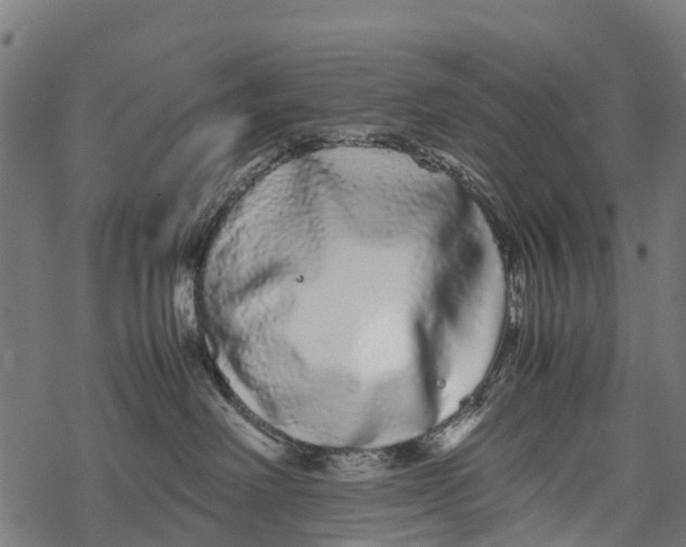 X0000067930238200605041743
