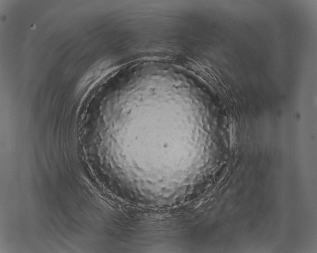 X0000067930243200605041742