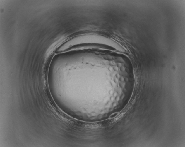 X0000067930245200605041742