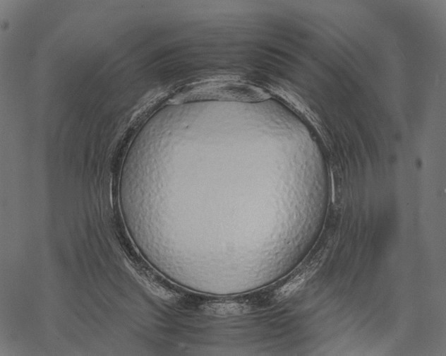 X0000067930253200605041742