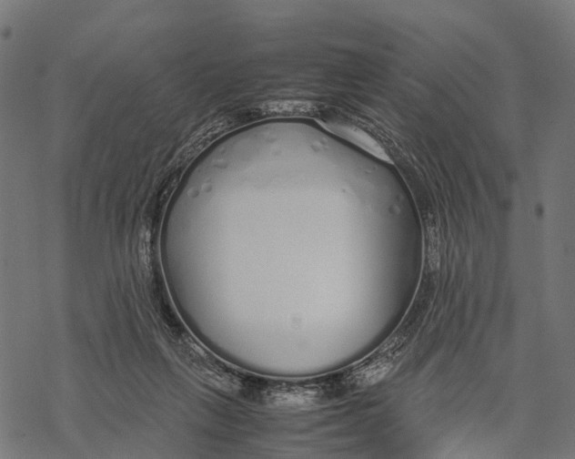 X0000067930263200605041742