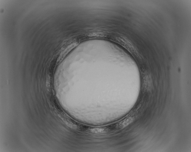 X0000067930265200605041742