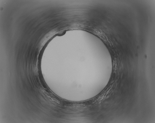 X0000067930292200605041742