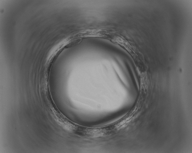 X0000067930293200605041742