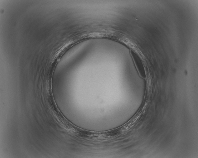 X0000067930297200605041742