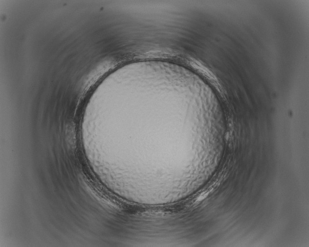 X0000067930298200605041742