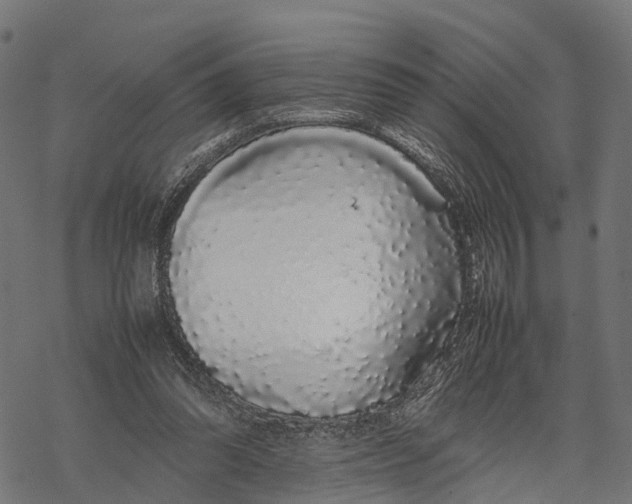 X0000067930302200605041742