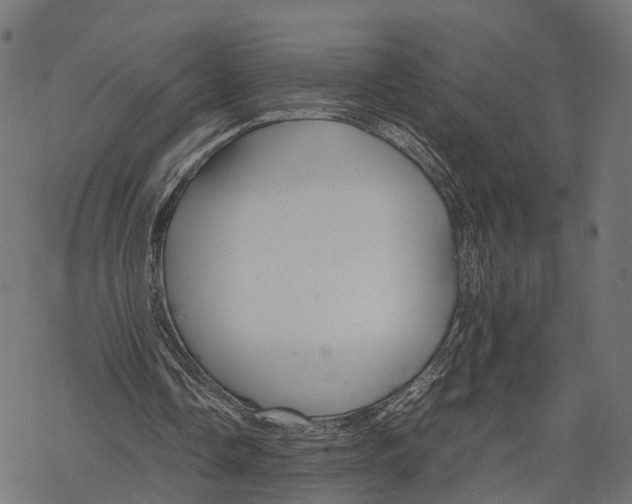 X0000067930338200605041740