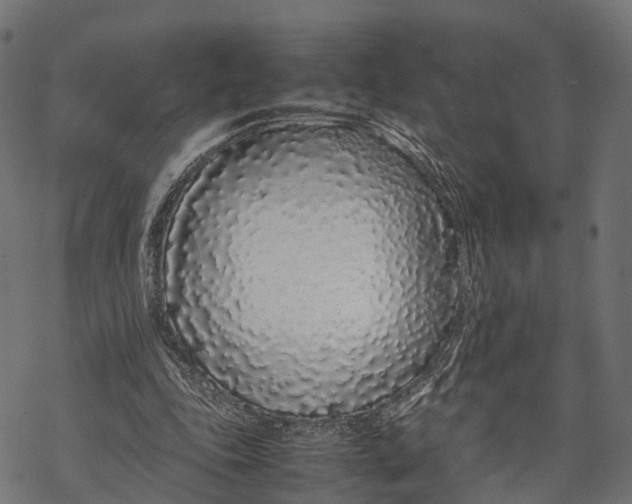 X0000067930343200605041740