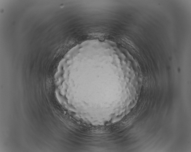 X0000067930365200605041741