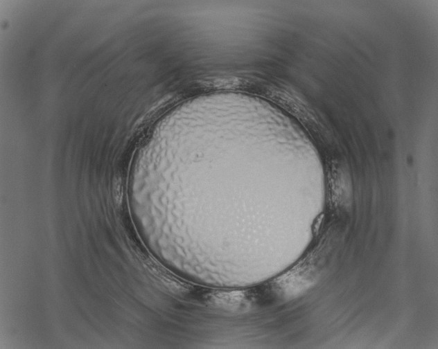 X0000067930374200605041741