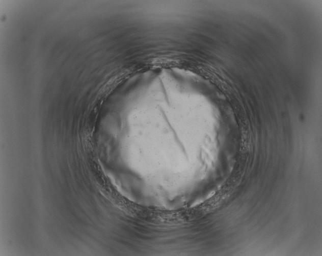 X0000067930375200605041741