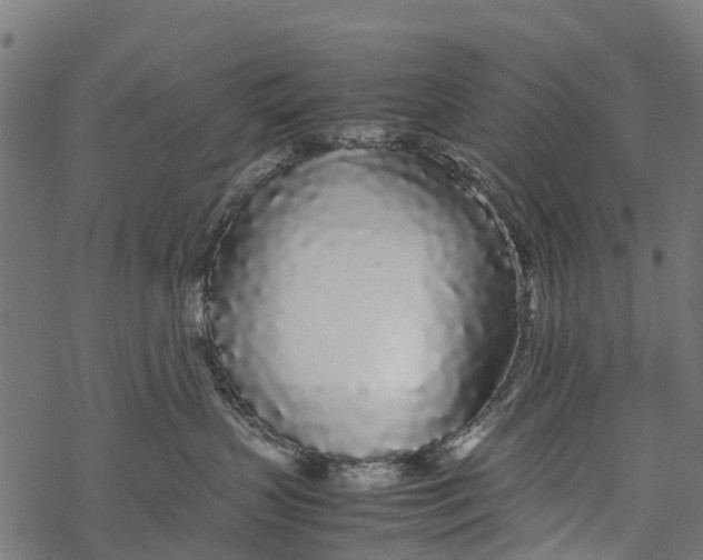 X0000067930383200605041741
