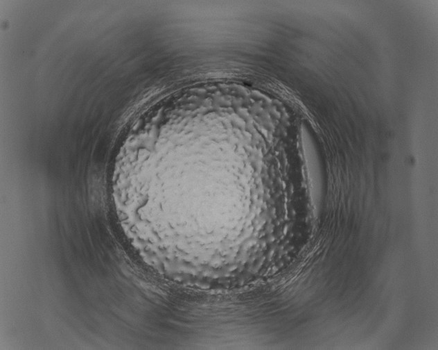 X0000067930386200605041740
