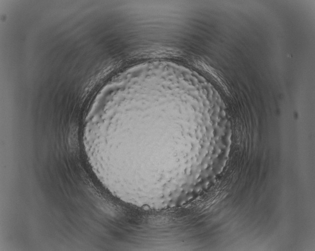 X0000067930394200605041740