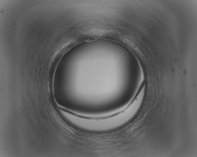 X0000067930399200605041740