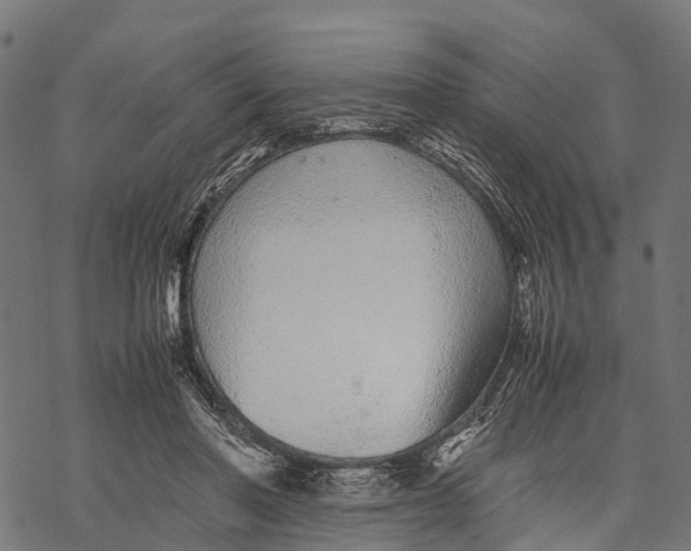 X0000067930406200605041740