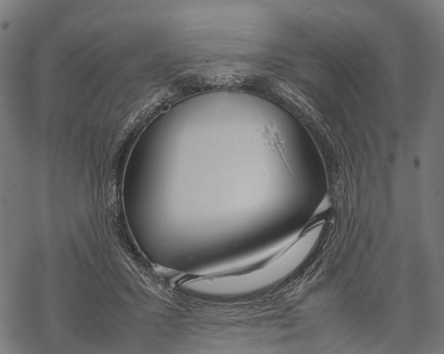 X0000067930407200605041740