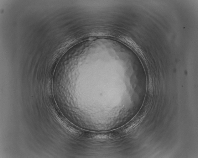 X0000067930441200605041739