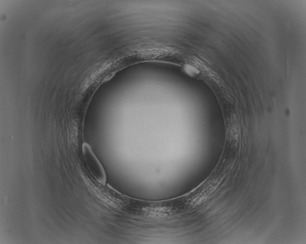 X0000067930448200605041739