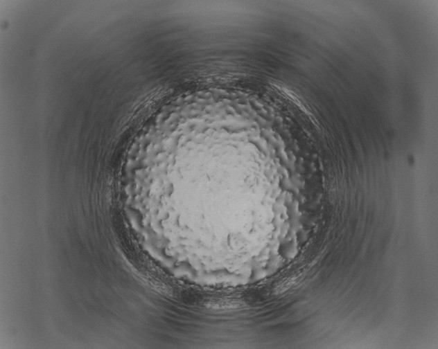 X0000067930451200605041739