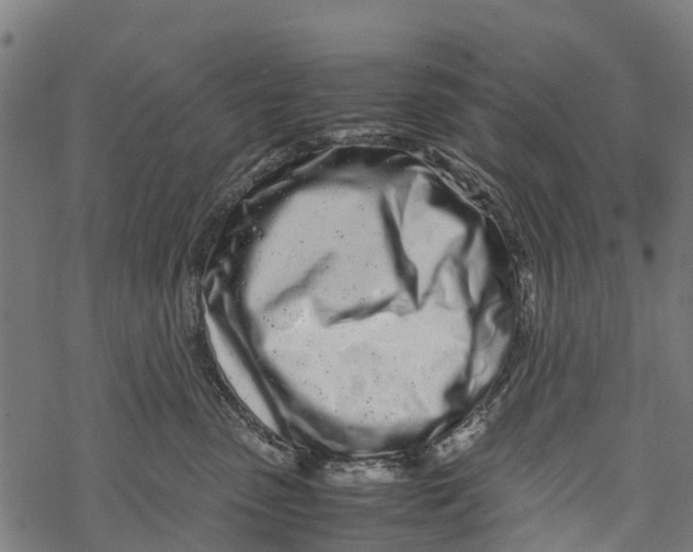 X0000067930475200605041739