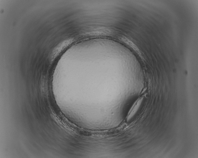 X0000067930482200605041739