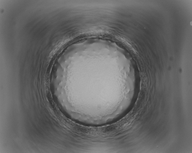 X0000067930487200605041738