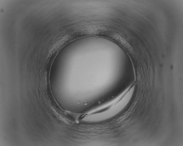 X0000067930493200605041738