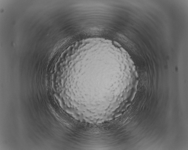 X0000067930494200605041738
