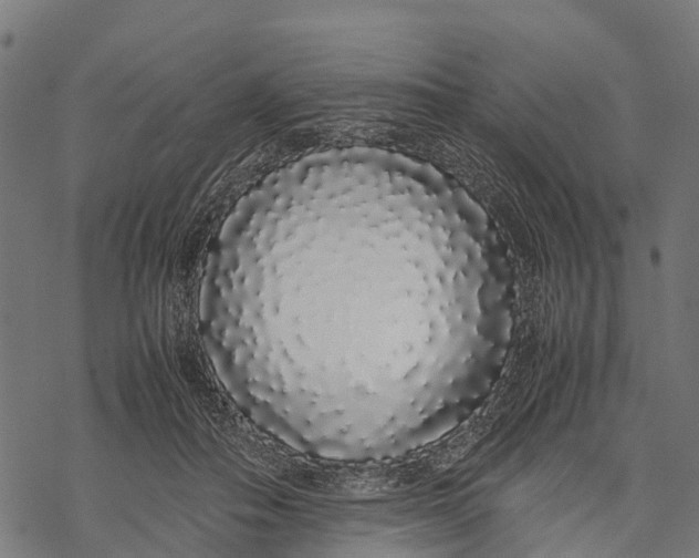 X0000067930506200605041738