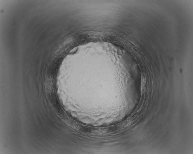 X0000067930511200605041738